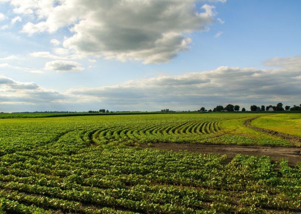 Illinois: Mclean